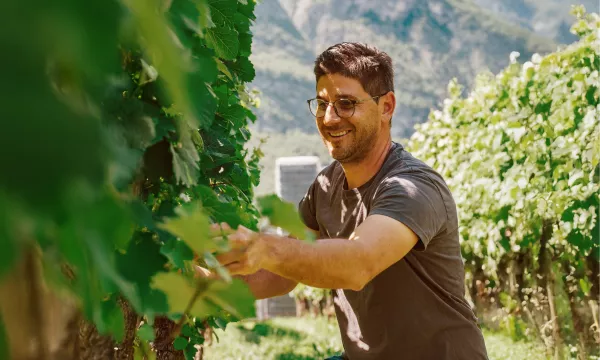 Winzer des Weinguts Castelfeder