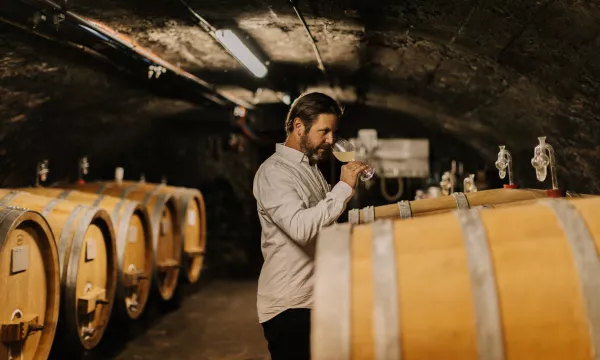 Weingut Julius Treis