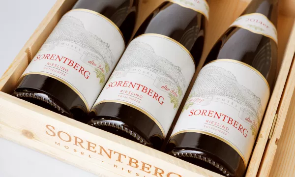 Weinberge im Sorentberg