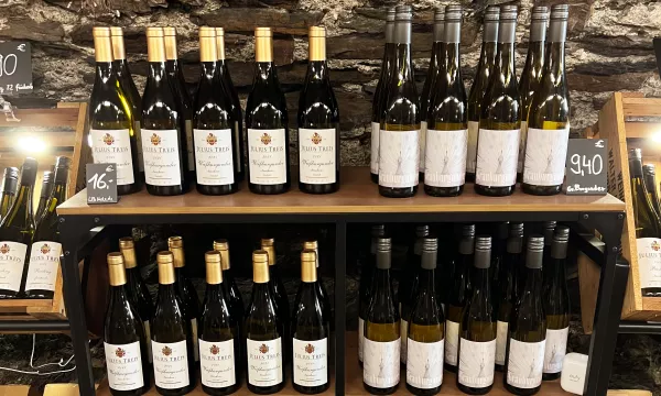 Weinauswahl im Weinshop Beilstein
