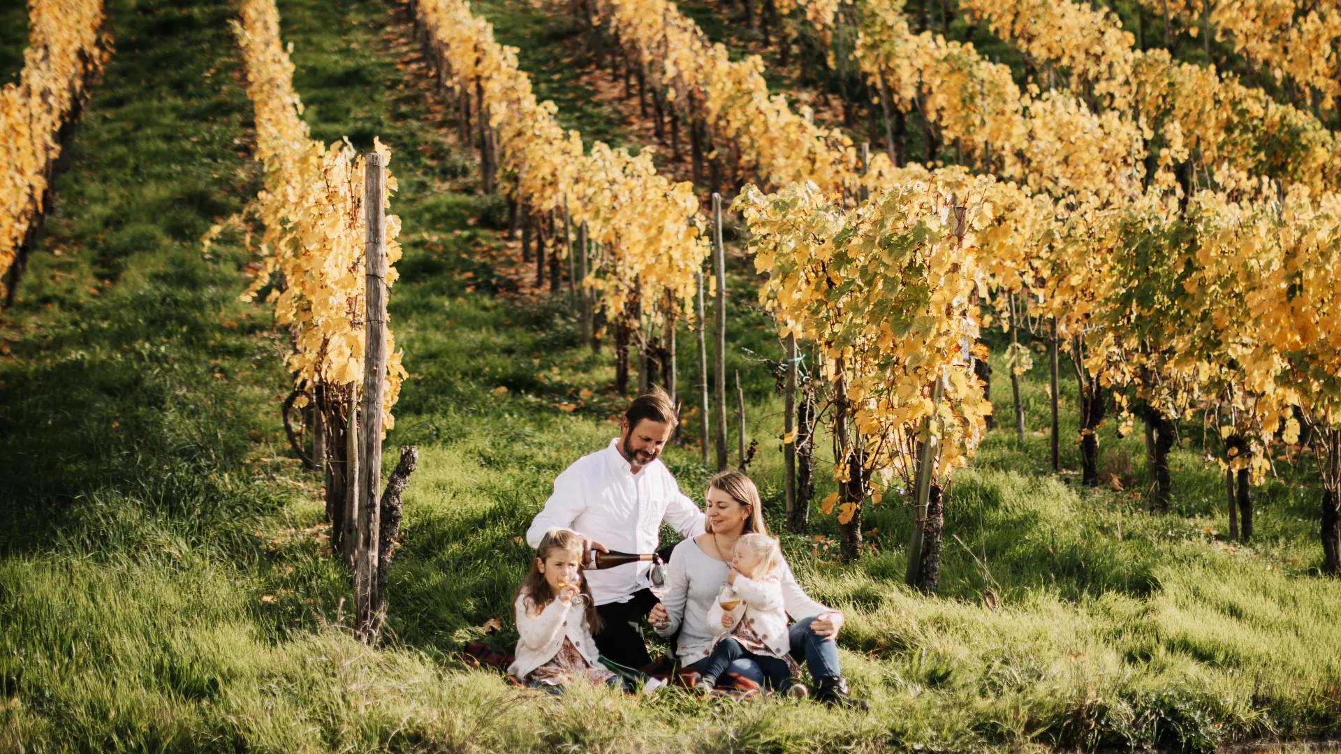 section-id-1737968529277